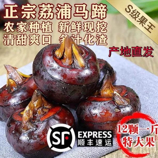 顺丰包邮广西桂林马蹄正宗荔浦荸荠特大果地栗新鲜马蹄现挖现发