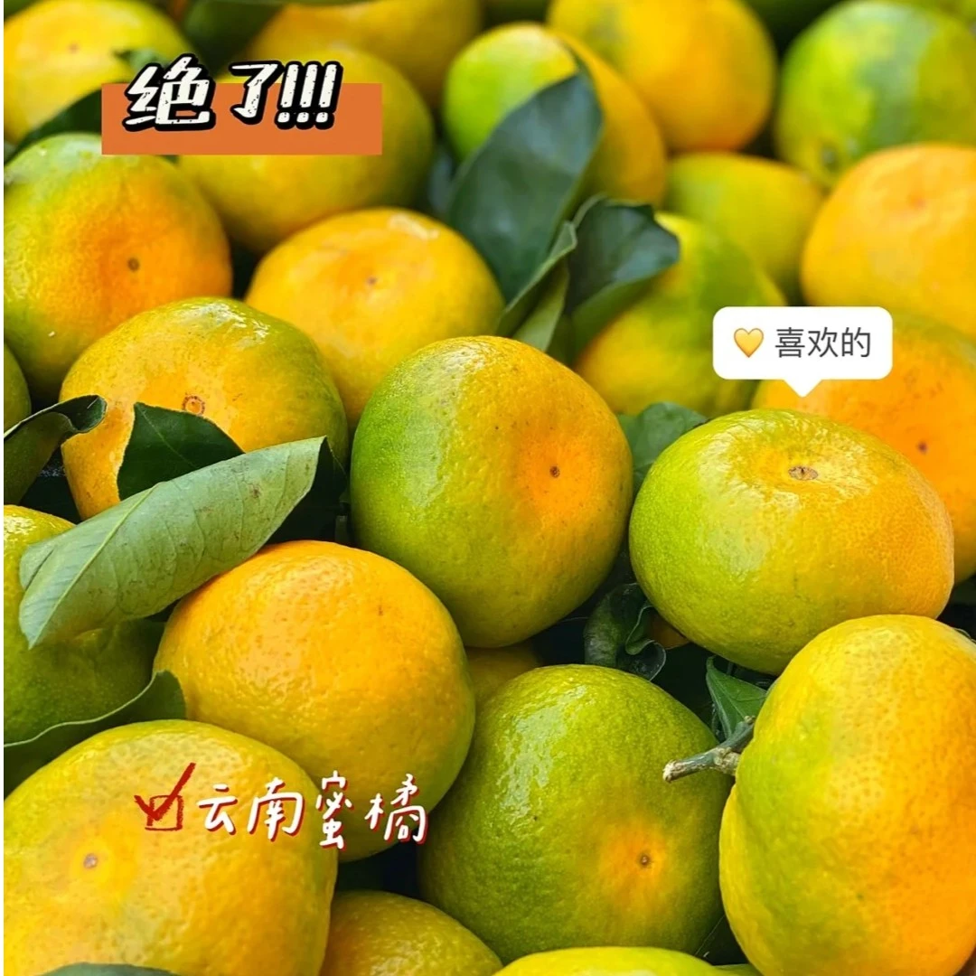【长寿小时达】蜜桔  约一斤