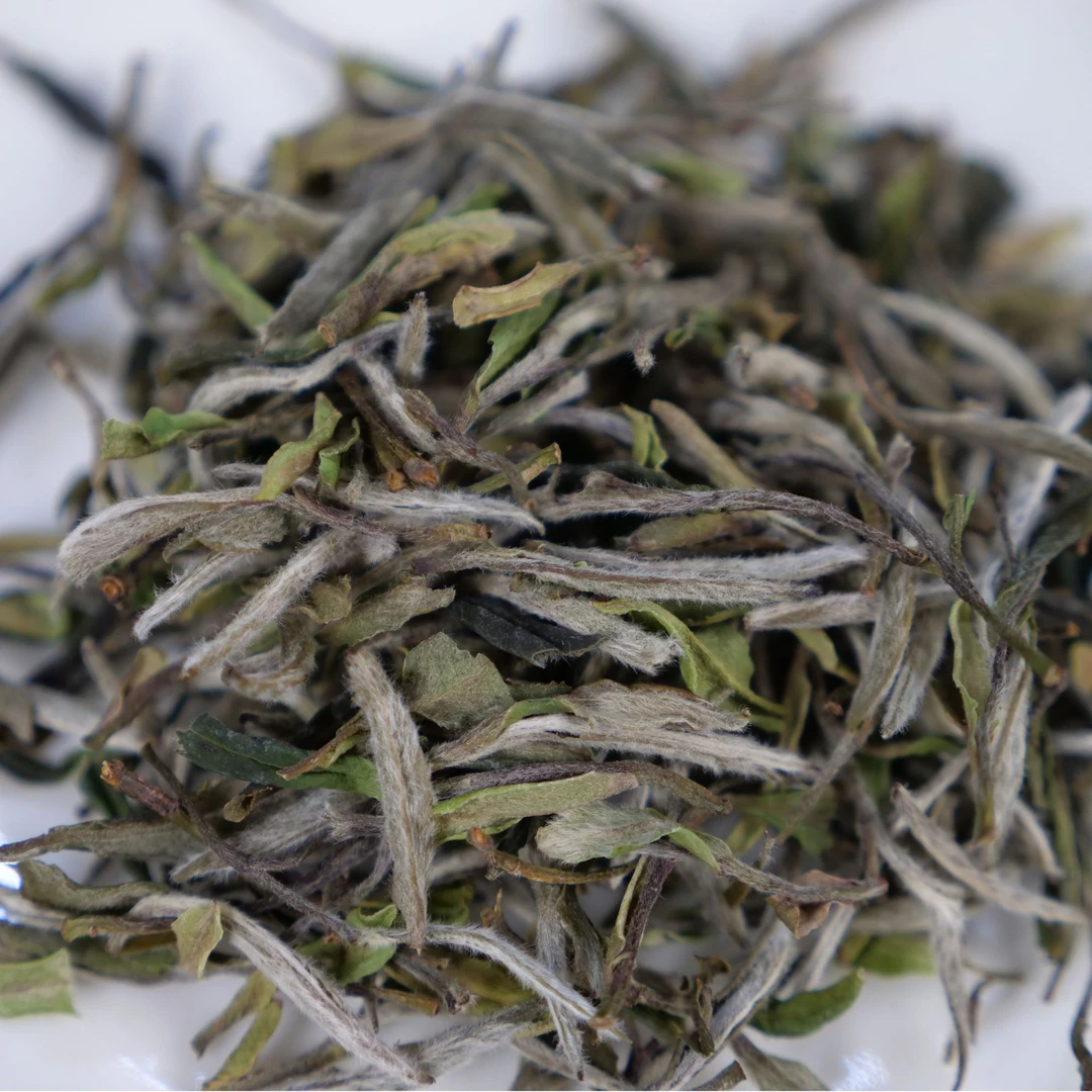 有机特级白牡丹 芳茗茶业 福鼎白茶