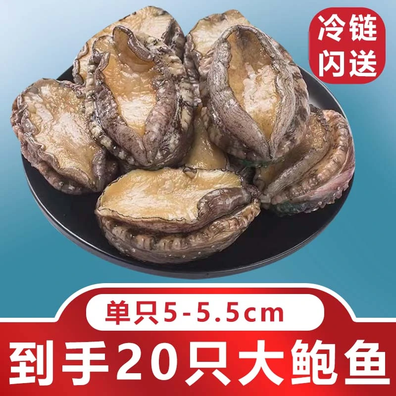 12头鲍鱼到手20只冷链冷冻海鲜滋补干净活鲍捕捞速冻发货新鲜食用