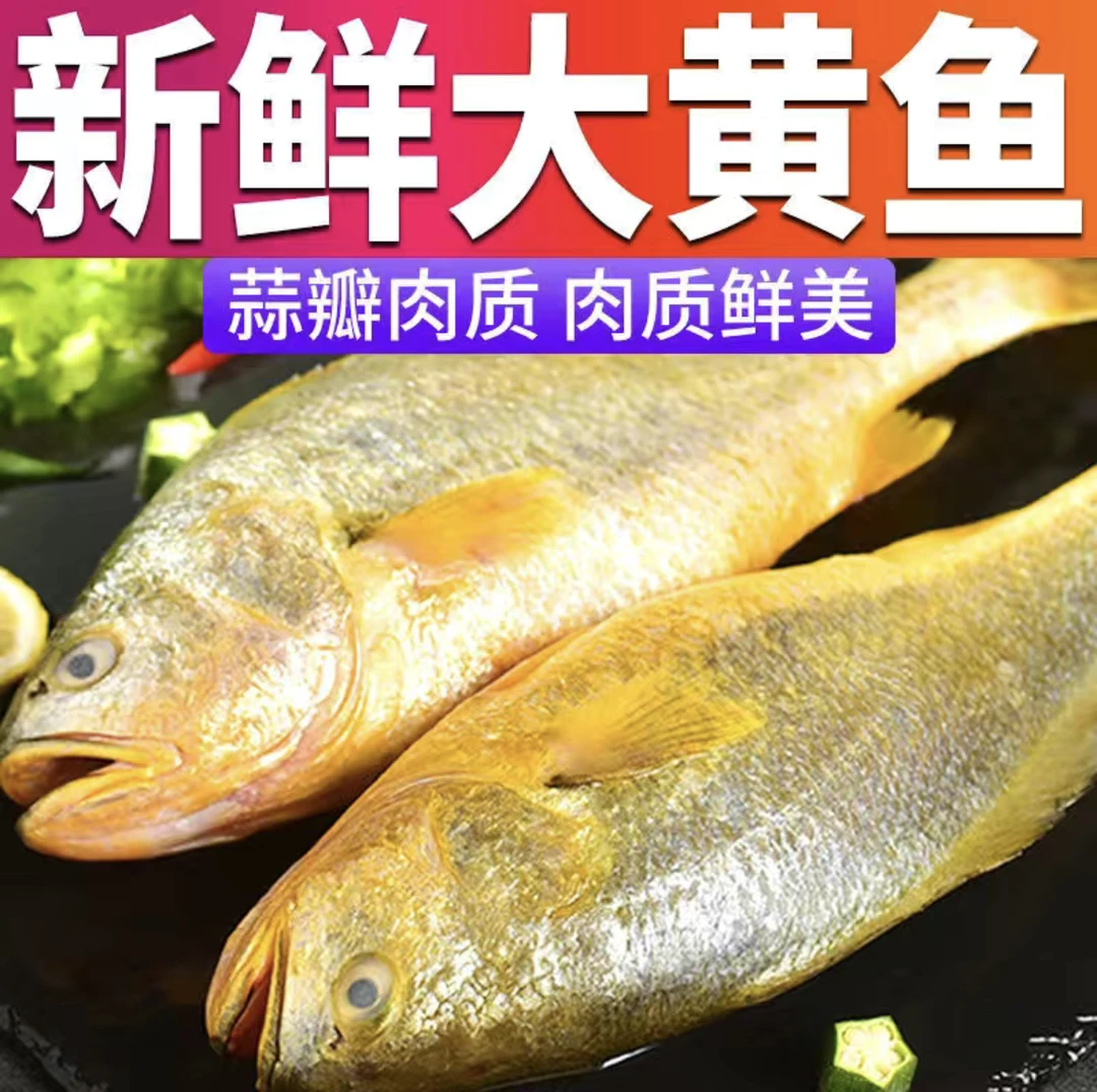 海鲜新鲜冷冻生态大黄花鱼8两左右/条 发5条 海鲜水产清蒸红烧鱼
