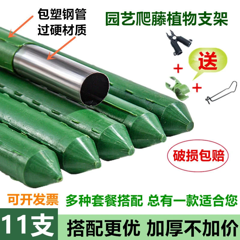 爬藤植物架子花架园艺支架包塑钢管支撑杆葡萄豆角番茄庭院支撑杆