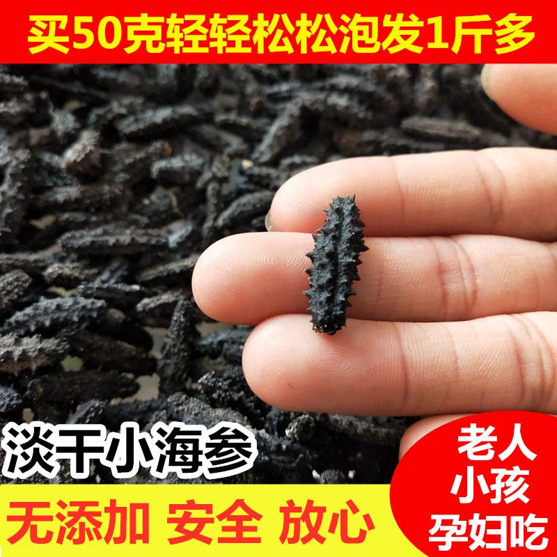 纯淡干小海参2-3厘米/只 1-2g/根 30只装工厂直销泡发率13-15倍
