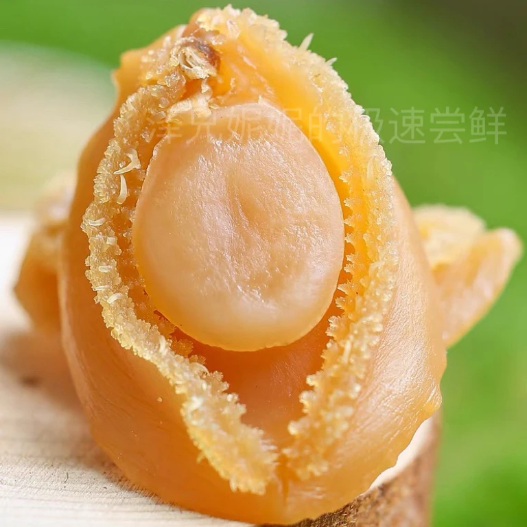 渔民自晒精选鲍鱼干  大！一斤28-32头