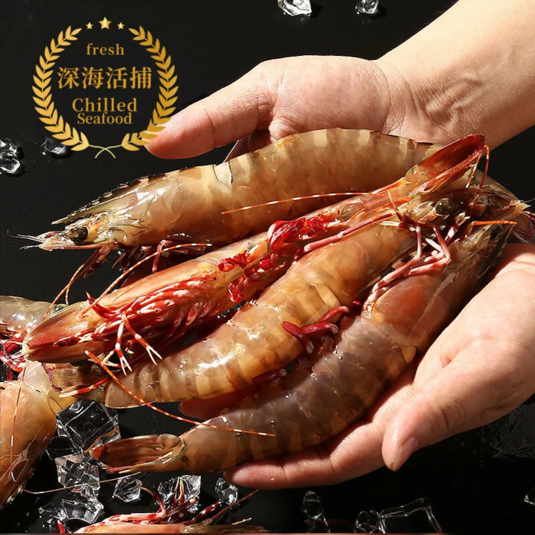 汕尾本港野生活冻红爪虾 丰虾