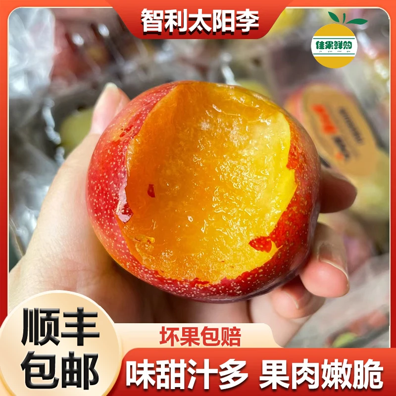 【顺丰】智利太阳李肉厚核小皮带果酸削皮吃肉清甜1斤起新鲜好吃
