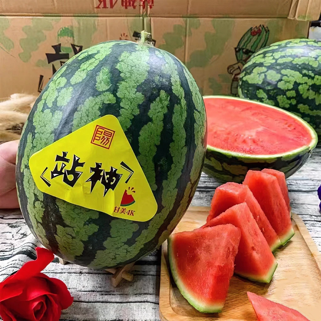 【顺丰】甘美4K西瓜1个 4-9斤 软籽西瓜新鲜应季速运水果大西瓜好吃