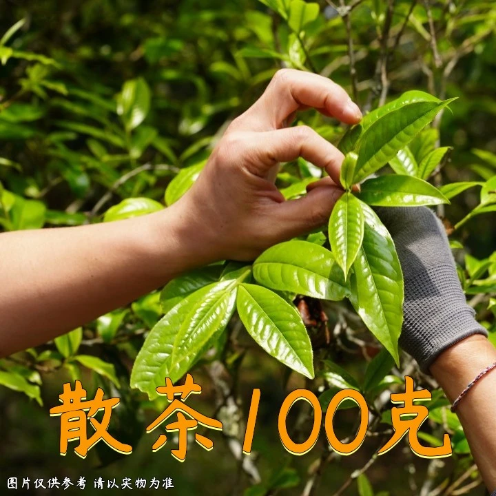 12.12CL|1534号福利23年易武铜箐河古树春生散茶100g