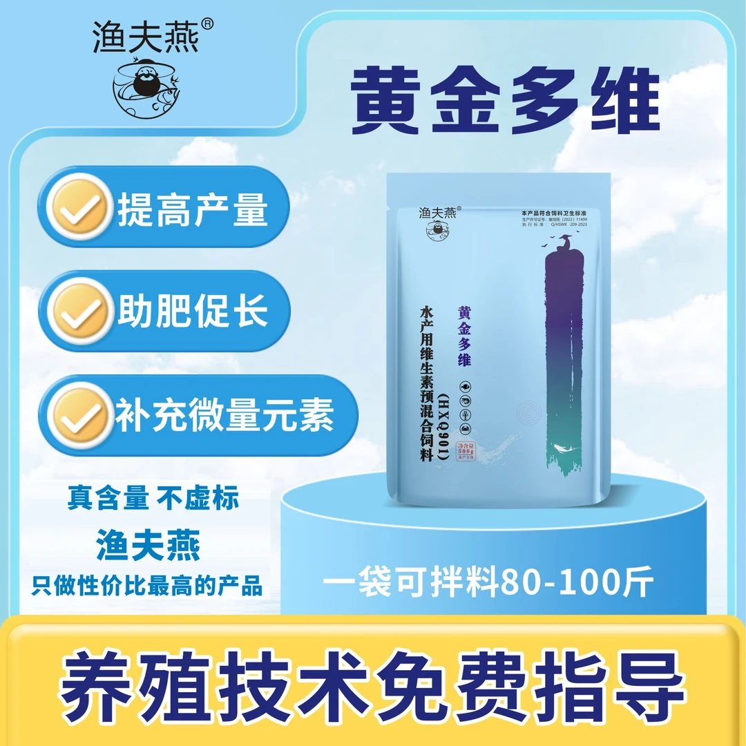 渔夫燕净含量500克黄金多维鲈鱼养殖