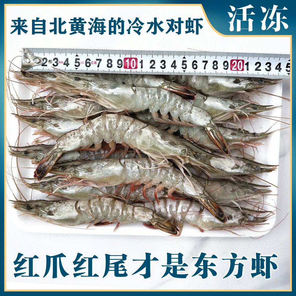 东方虾大海虾450克/板*2板东港对虾北黄海冷水海虾顺丰包邮