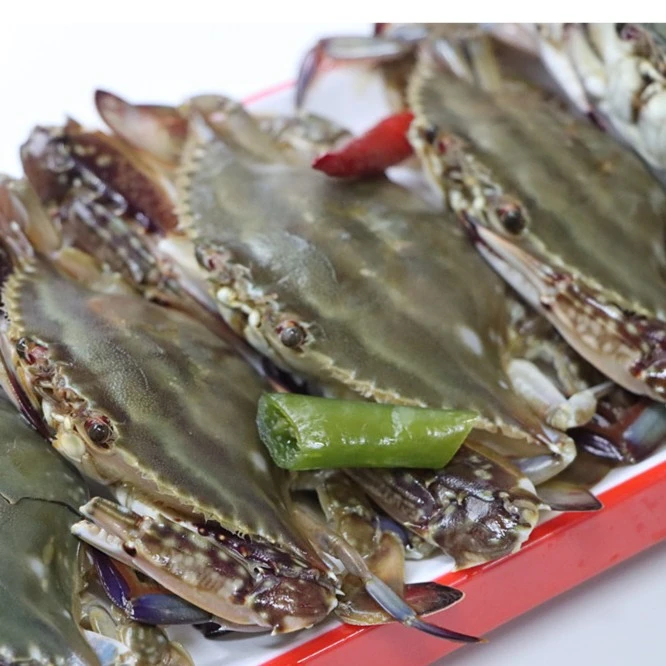 生腌(小公蟹)野生梭子蟹(5只/袋)丹东飞蟹生呛蟹[三斤]顺丰包邮