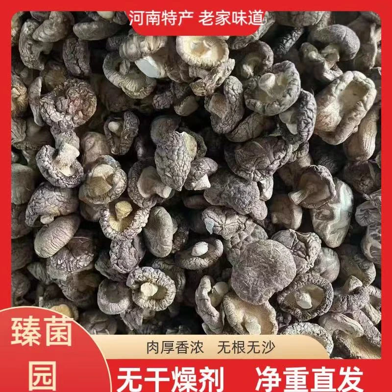 香菇散装商用5斤自种干货厚肉无根蘑菇黄焖鸡饭店商用