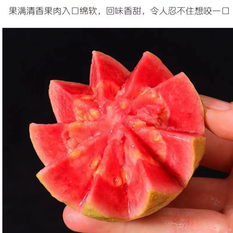 广西红心巴乐产地直发软糯香甜