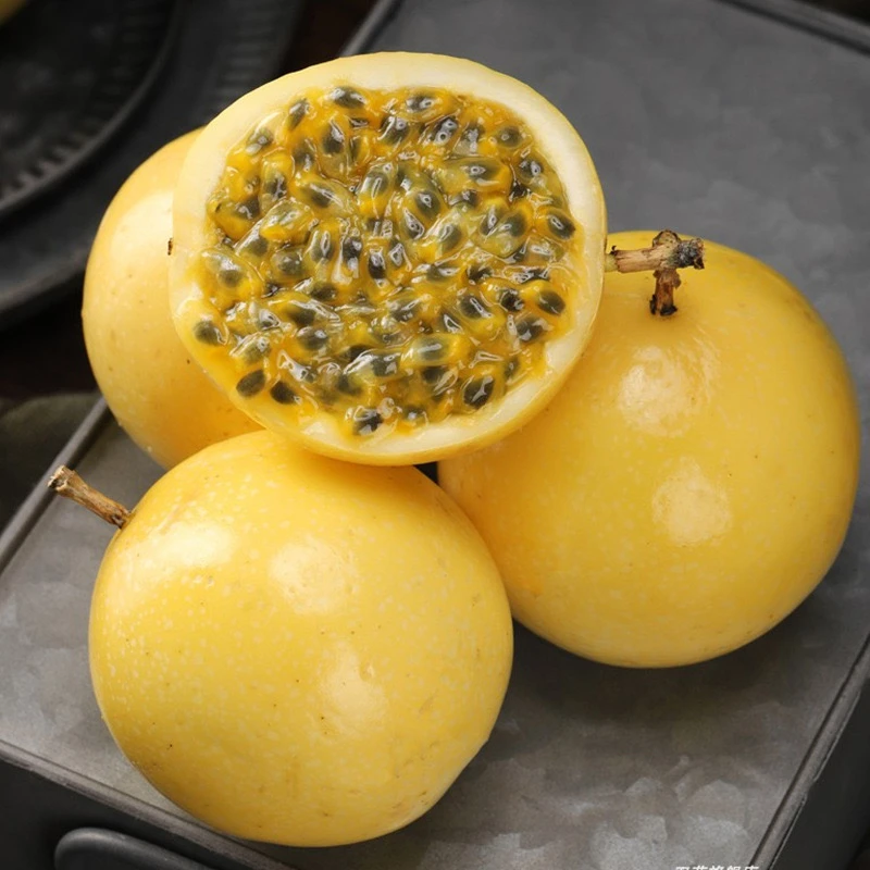 甜蜜百香果树苗  纯甜不酸新品种 嫁接苗百香果苗