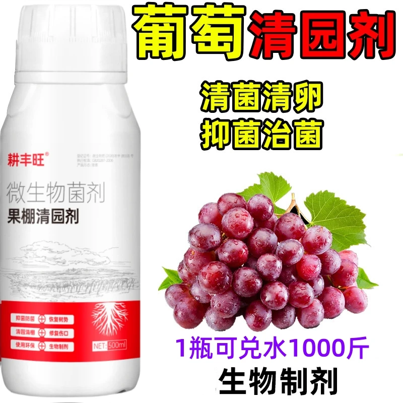 葡萄清园代替石硫合剂葡萄杀菌剂葡萄清园剂微生物菌葡萄树清园剂
