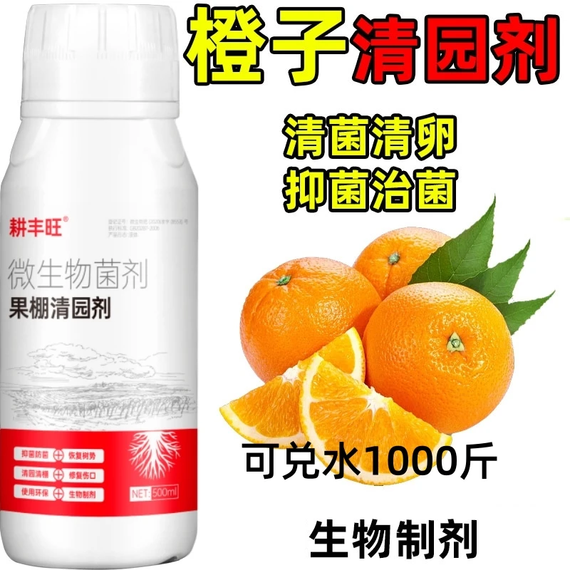 橙子清园代替石硫合剂橙子杀菌剂橙子清园剂微生物菌橙子树清园剂