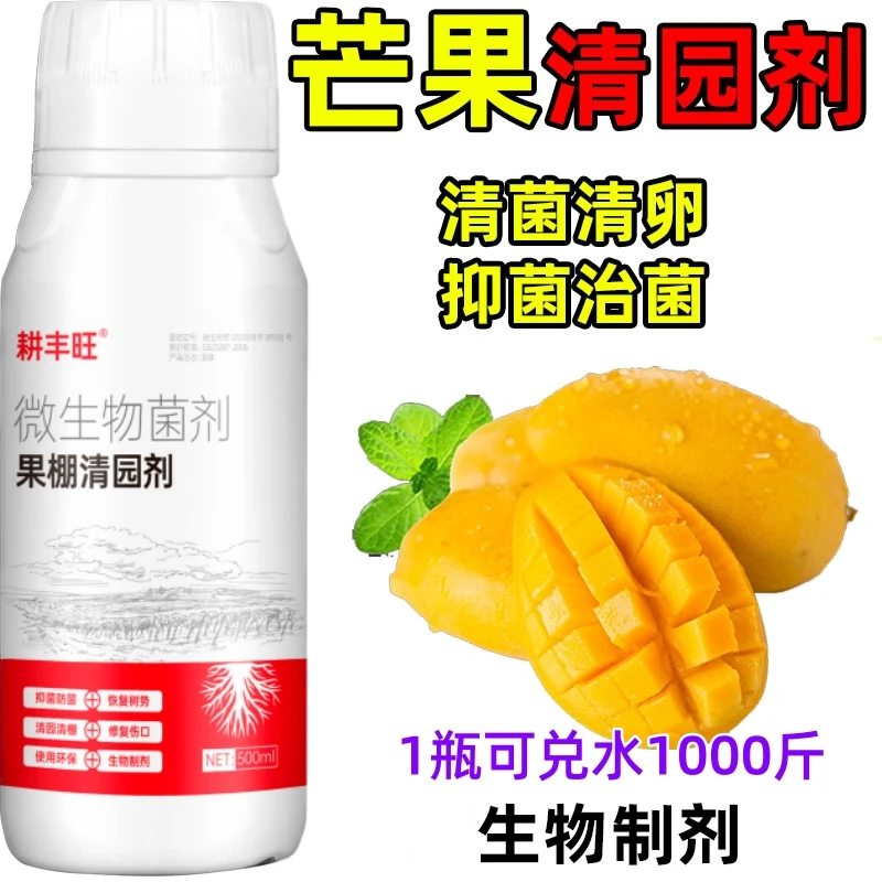 芒果清园代替石硫合剂芒果杀菌剂芒果清园剂微生物菌芒果树清园剂