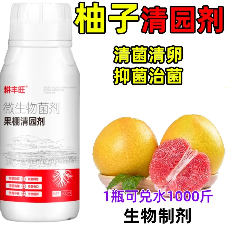 柚子清园代替石硫合剂柚子杀菌剂柚子清园剂微生物菌柚子树清园剂