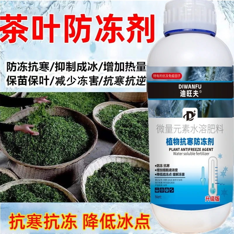 茶叶防冻剂茶叶防寒抗冻剂茶叶专用叶面肥解冻害抗低温茶叶防冻液