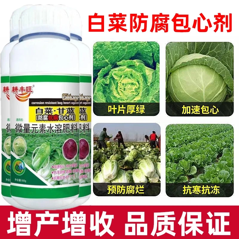 白菜防腐包心剂调节剂包邮大白菜甘蓝包心菜花菜专用叶面肥包心剂