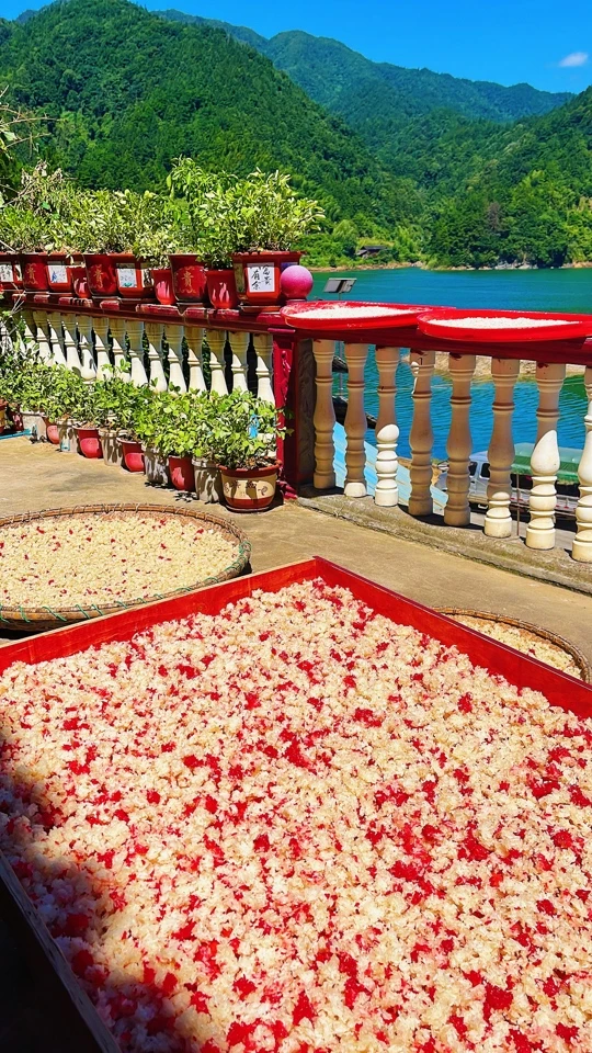 城步苗寨手工制作油茶阴米（米花）