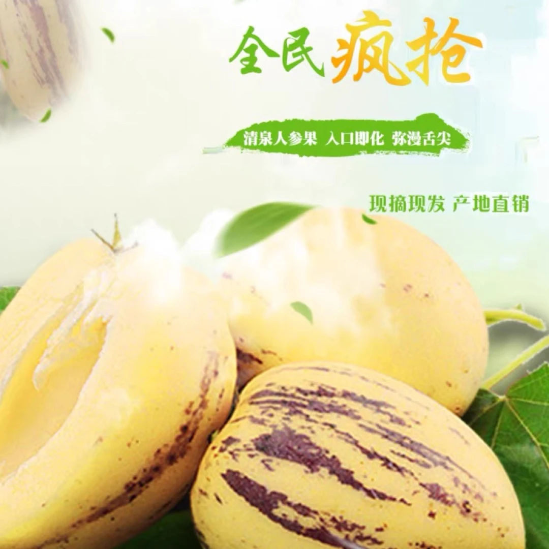 清泉人参果水果产地直发现摘现发小燕子哥伦比亚龙珠果大嫂若浔