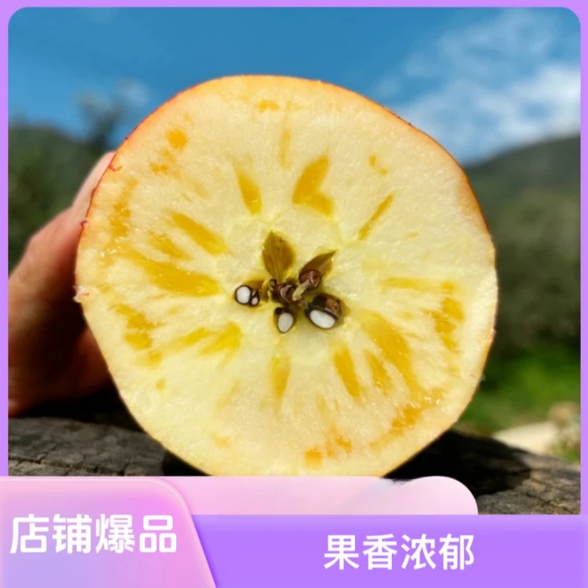 大凉山盐源丑苹果新鲜水果当季现摘红富士多汁可口营养原生态