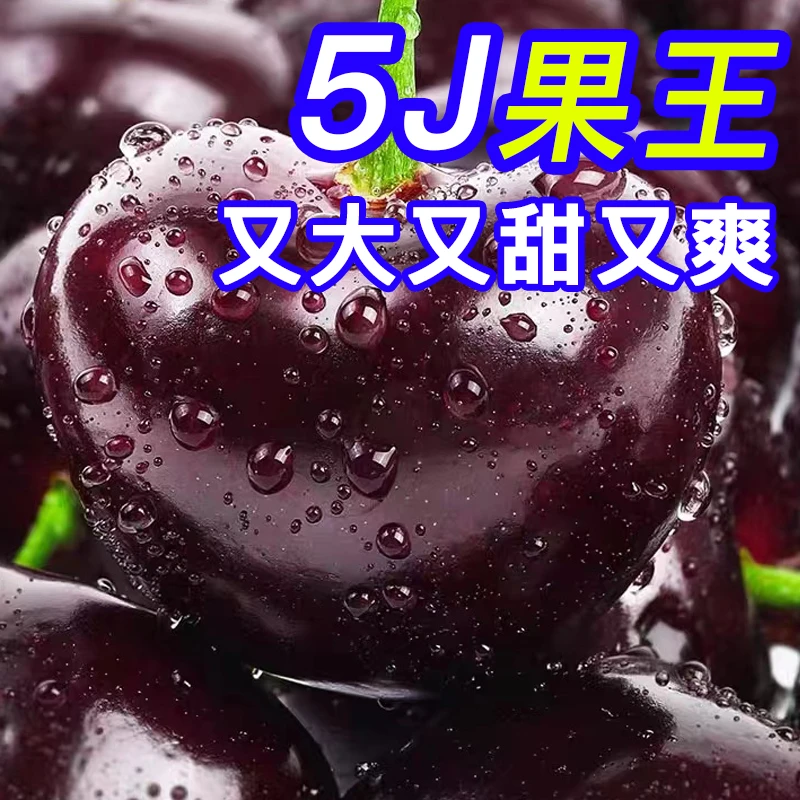 空运桑提娜高端品种进口智利空运车厘子新鲜水果礼盒1-3斤J-5J