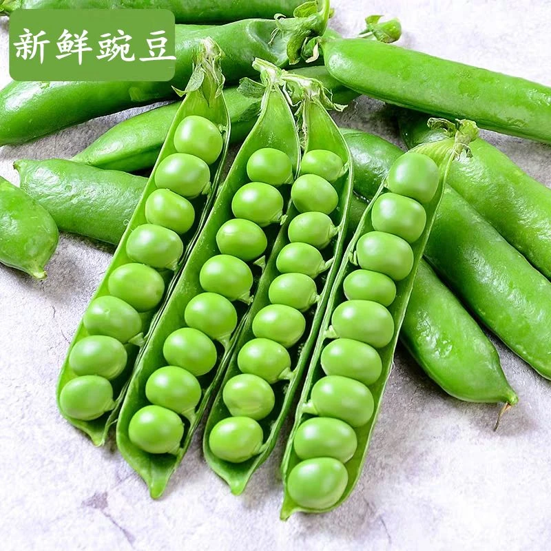 云南新鲜豌豆荚带壳青豆荷兰甜豆角蔬菜类新鲜蔬菜颗粒青豌豆饱满