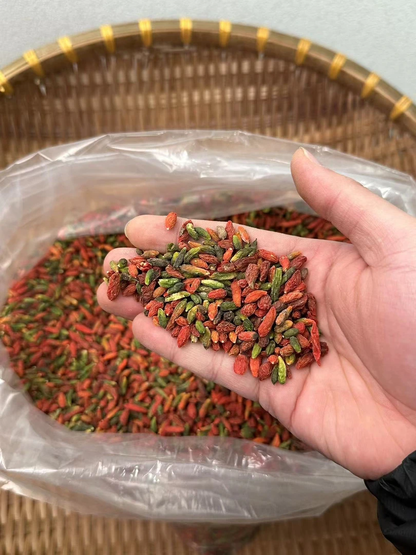 【3单5单囤】【枸起】粤北本地枸起 适合煲汤煲水食用