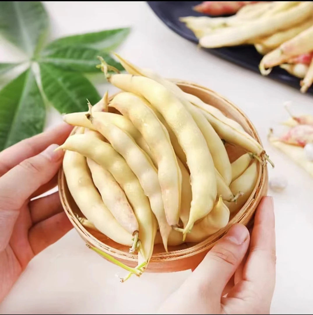 东北黄金钩豆角4.5斤装
