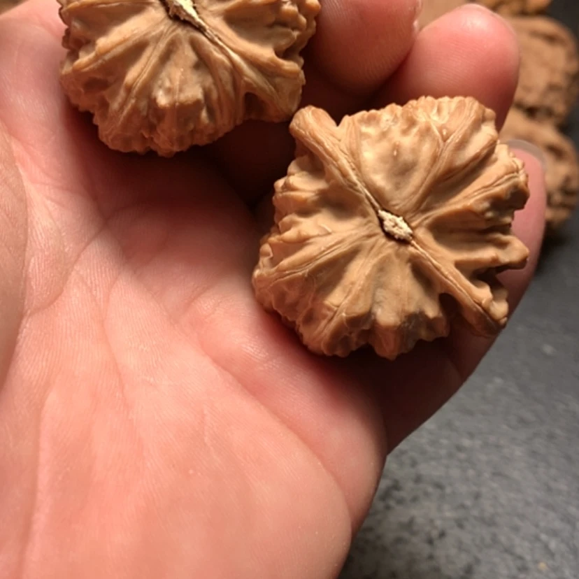 【闪购商品】文玩核桃把件忙**闲野生