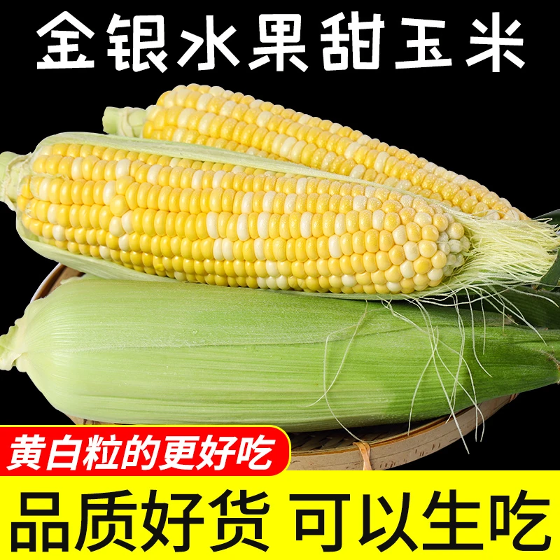 【福利HJ】云南现摘金银水果甜玉米3/5/9斤水果玉米甜脆可生吃