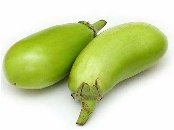 ZY青茄子（500g）