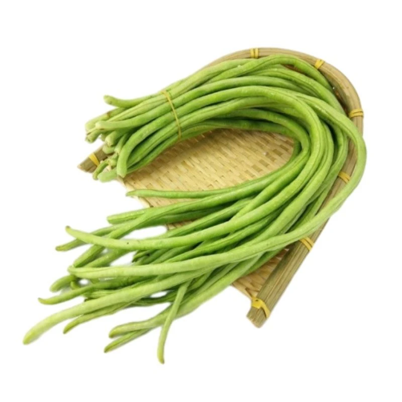 ZY长豆角（500g）