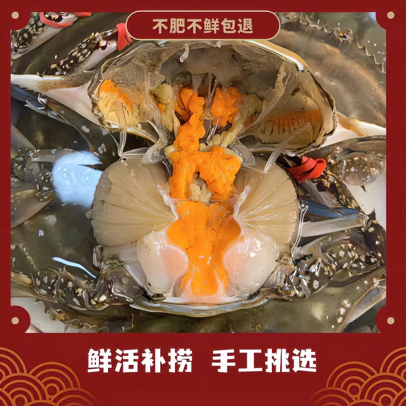 三点黄母飞蟹【直播现称】不保腿甲全【保鲜不保活】斤只两（规格）