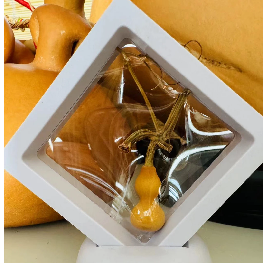 九哥文玩葫芦直播1号专拍