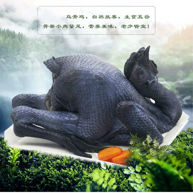 民尖好货【1只乌鸡】 贵州深山散养新鲜土鸡老母鸡