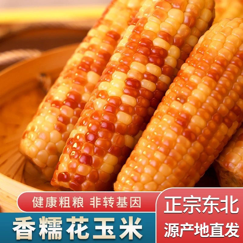 【12根大果】东北农村花糯玉米香甜软糯真空包装