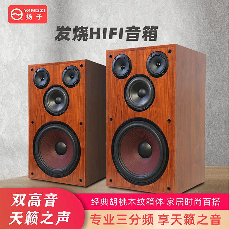 YANGZI/扬子10寸三分频发烧HiFi木质无源落地高音低音家用KTV音响