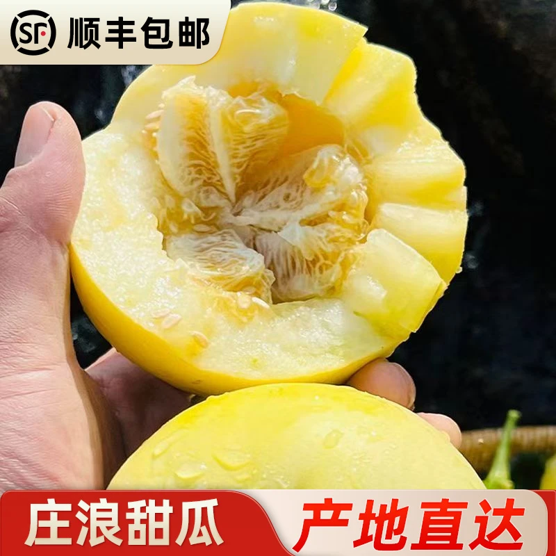 庄浪万泉香瓜顺丰包邮