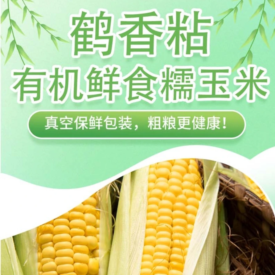 鹤香粘有机鲜食糯玉米【8穗】