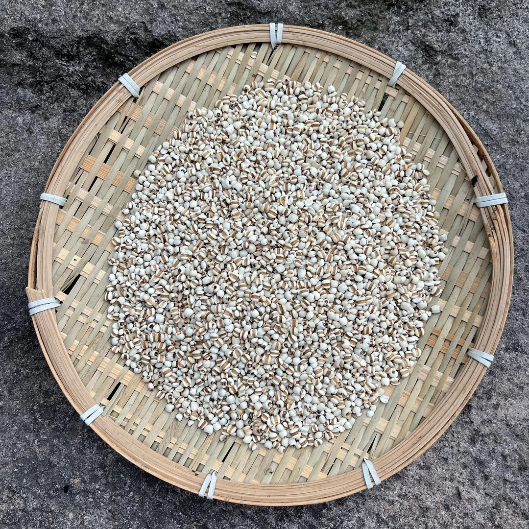 高山 农家 下山货薏米