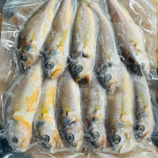野生黄花鱼 500g*2袋