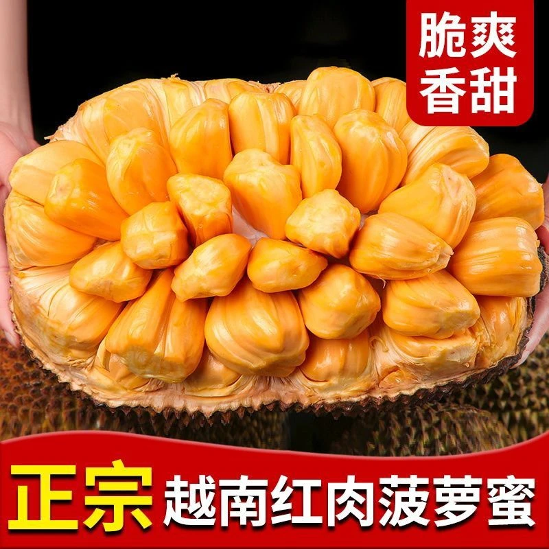 正宗越南红肉菠萝蜜400g （尝鲜装） 扒好 包邮