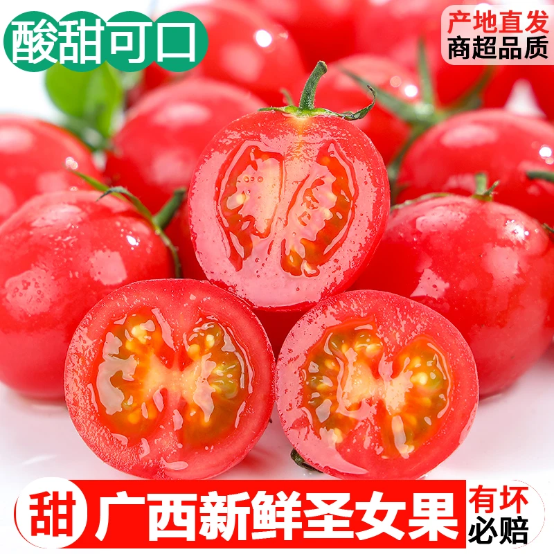 现货广西圣女果新鲜小番茄5斤水果西红柿生吃小番茄