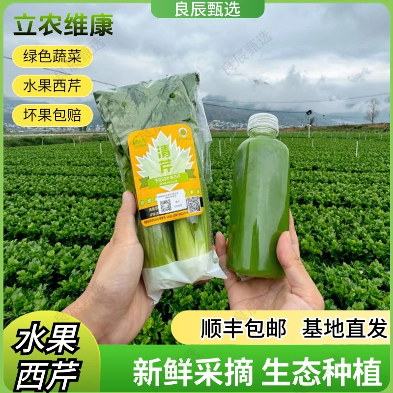 立农维康【正宗水果西芹】云南高原绿色蔬菜清芹可生吃榨汁中秋送礼