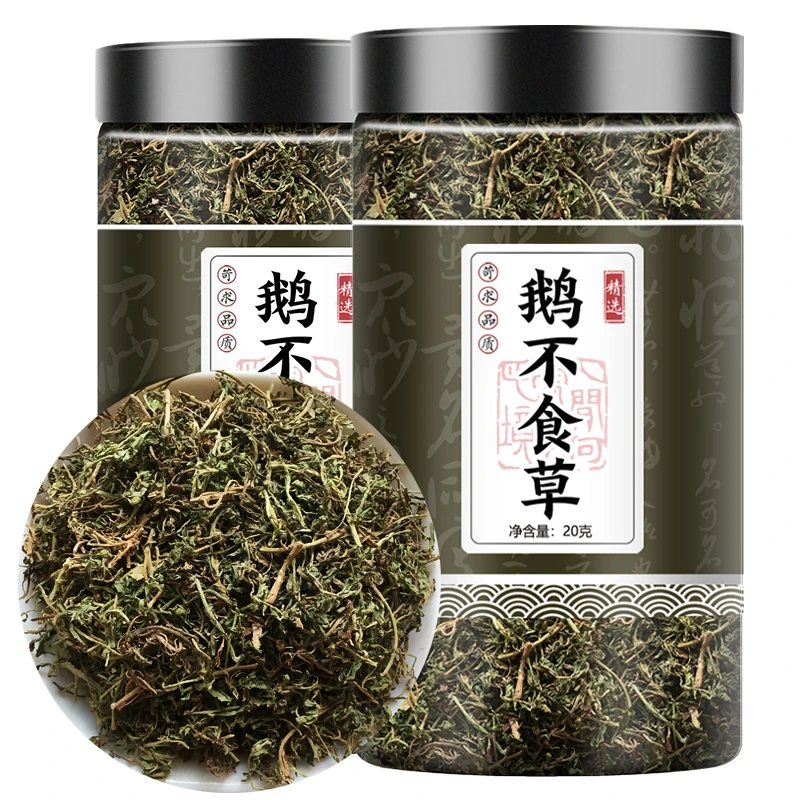 鹅不食草中药材 野生鹅不食草20g包邮新鲜叶菜干货鹅不吃草中草药