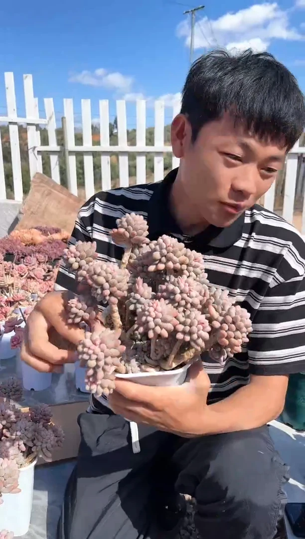 【闪购商品】12-17 婴儿手指