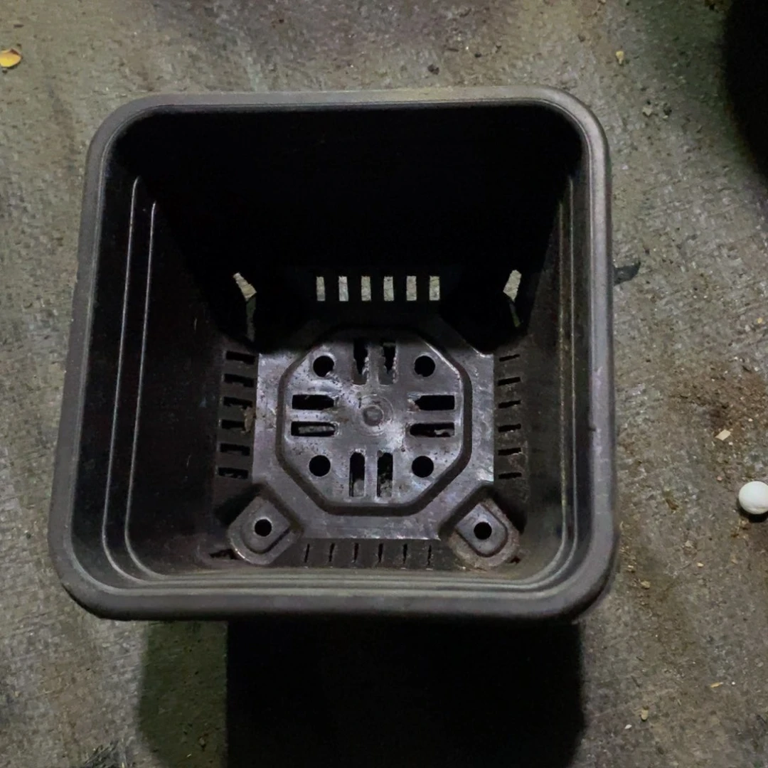 塑料20CM以下旧12公分黑方盆30个